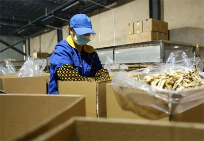 玉屏 市場需求旺，菌棒生產(chǎn)忙，食品互聯(lián)網(wǎng)銷售助農(nóng)增收